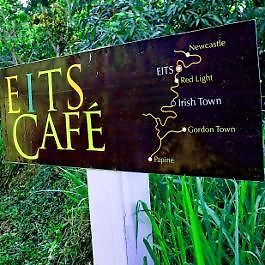 Mount Edge Guest House Port Antonio Buitenkant foto