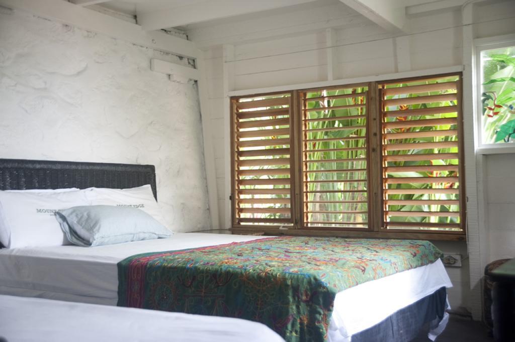 Mount Edge Guest House Port Antonio Buitenkant foto