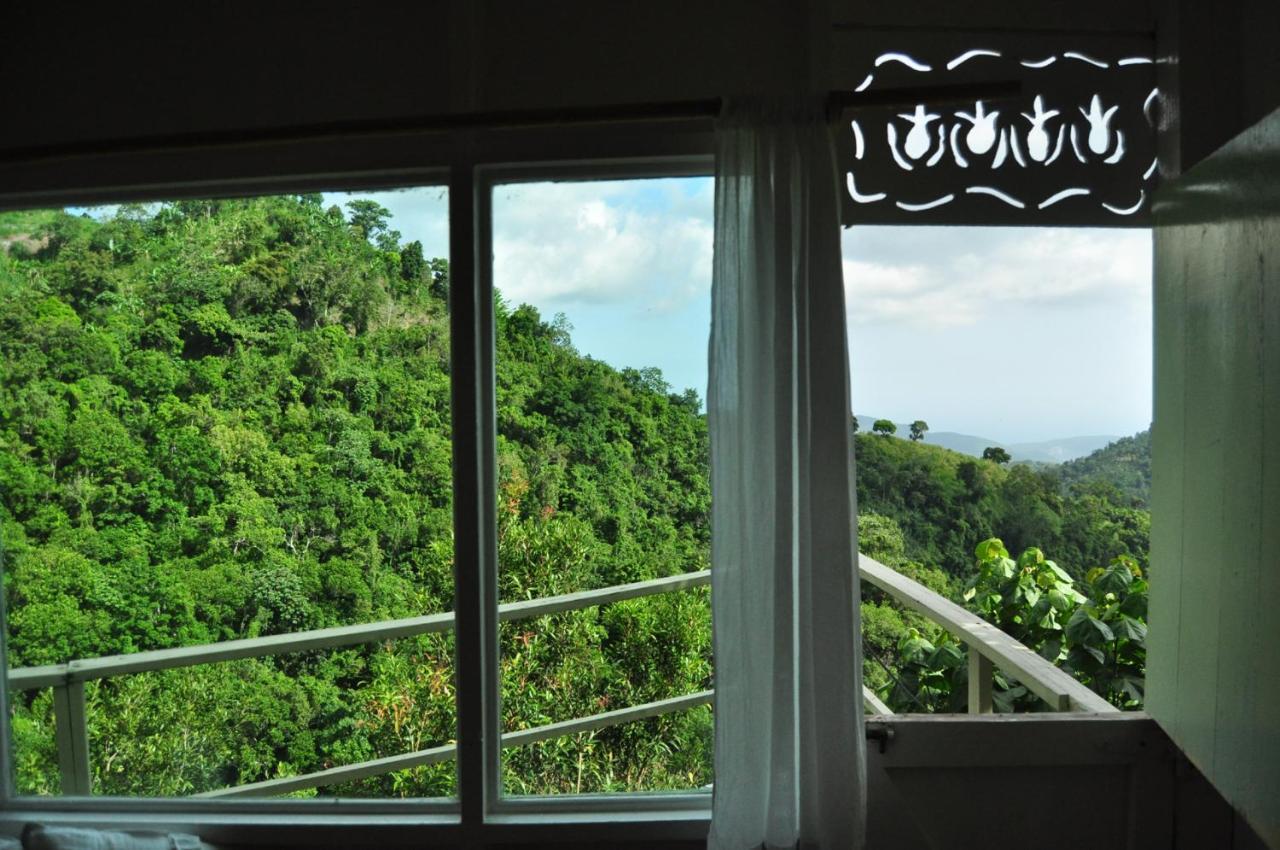 Mount Edge Guest House Port Antonio Buitenkant foto