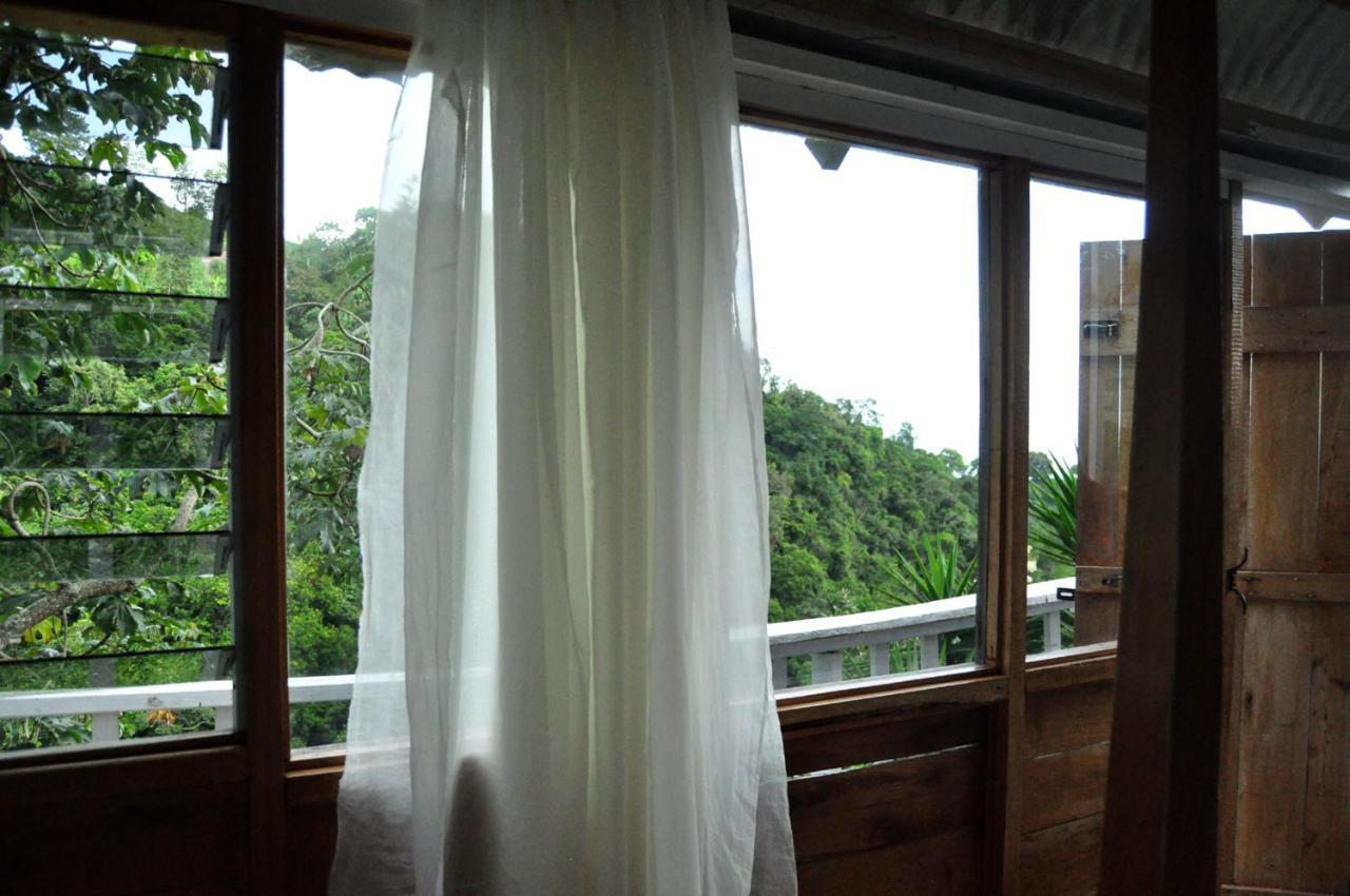Mount Edge Guest House Port Antonio Buitenkant foto